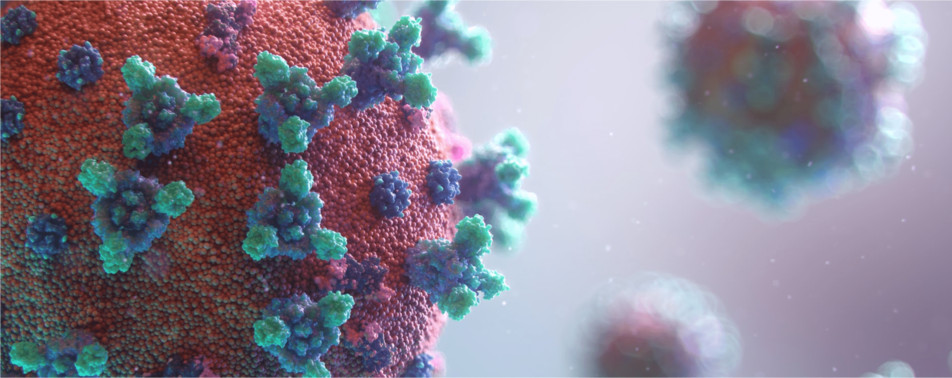 The Visualization of HIV Viral Load in the Whole Body for the First Time